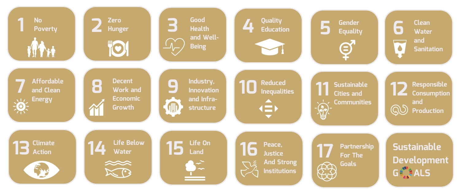 UN Sustainable Development Goals